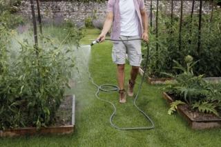 FITT_Force_vegetable_garden FITT_Force_vegetable_garden