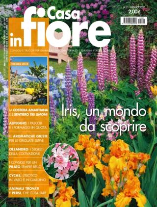 cif-7-cover