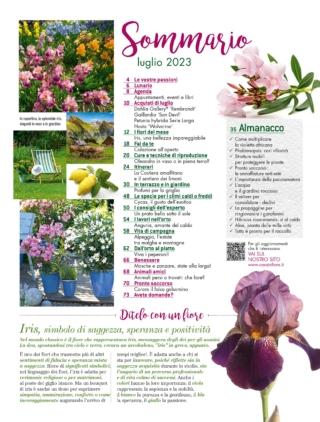 cif-7-sommario cif-7-sommario