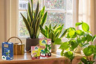 Drin e rame active Drin e rame active