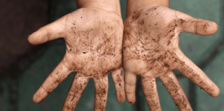 Dati raccolta differenziata organico 2023