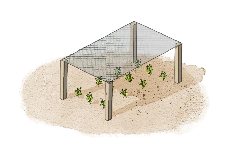 Proteggere l'orto dal sole estivo: vantaggi delle reti ombreggianti - Cose  di Casa
