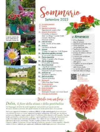 CIF09_sommario CIF09_sommario