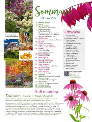 CIF10-sommario CIF10-sommario