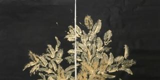 LITURGIE SICILIANE. Glenda Costa LITURGIE SICILIANE. Glenda Costa