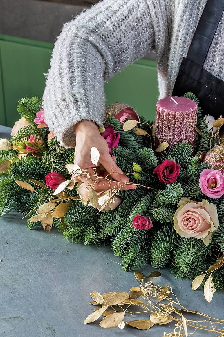 eucalipto dorato eucalipto dorato