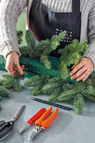 rametti di abete nella spugna rametti di abete nella spugna