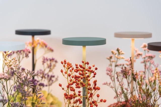 Creatività, lifestyle e durabilità sono tratti distintivi delle collezioni di illuminazione e oggetti per la tavola di Zafferano