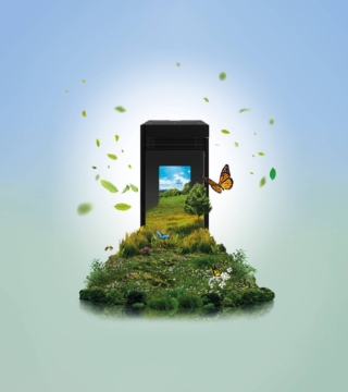 Palazzetti Green Stove