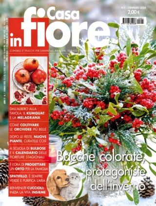 CIF01_cover