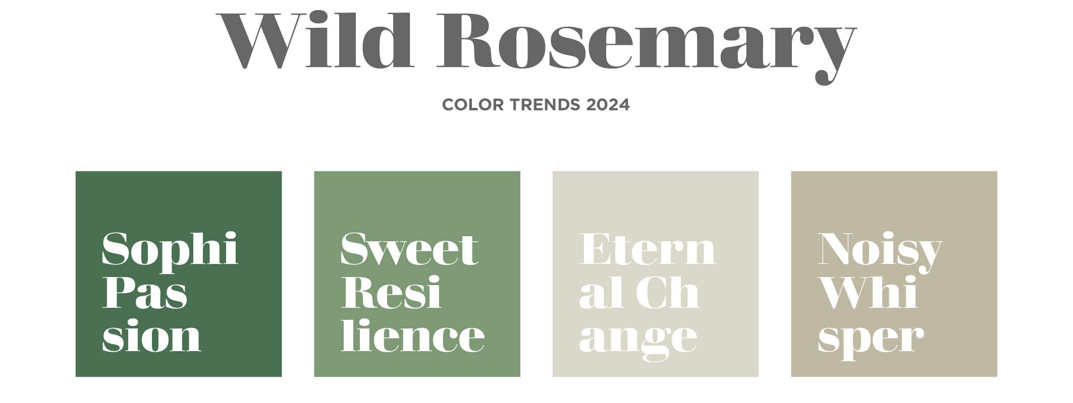 Palette WILD ROSEMARY, color trends 2024 Novacolor