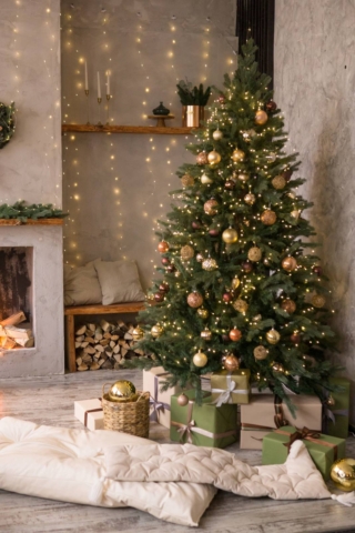 albero di natale vero in vaso albero di natale vero in vaso