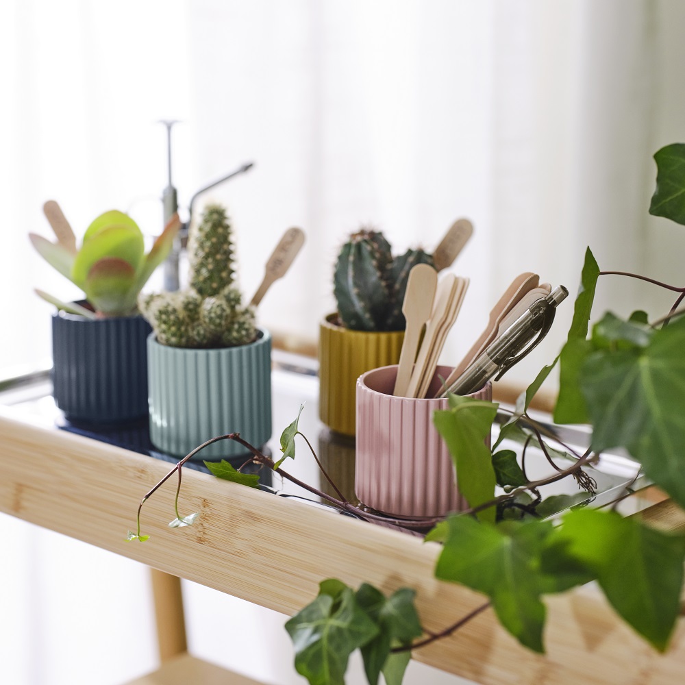 Il set di quattro portavasi Daksjus Ikea è perfetto per contenere piccole piante come cactus e succulente. I portavasi sono di colori diversi e arricchiti con un motivo decorativo in rilievo per mettere in risalto la bellezza delle piante. Prezzo 7,95 euro. www.ikea.com Il set di quattro portavasi Daksjus Ikea è perfetto per contenere piccole piante come cactus e succulente. I portavasi sono di colori diversi e arricchiti con un motivo decorativo in rilievo per mettere in risalto la bellezza delle piante. Prezzo 7,95 euro. www.ikea.com