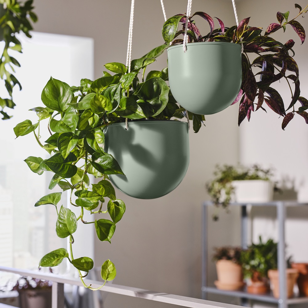 I vasi a sospensione Daksjus di Ikea permettono di creare angoli verdi inaspettati in casa, sul balcone o in giardino. Il set da due vasi è disponibile nei colori grigio chiaro e verde. Prezzo 19.95 euro. Www.ikea.com I vasi a sospensione Daksjus di Ikea permettono di creare angoli verdi inaspettati in casa, sul balcone o in giardino. Il set da due vasi è disponibile nei colori grigio chiaro e verde. Prezzo 19.95 euro. Www.ikea.com