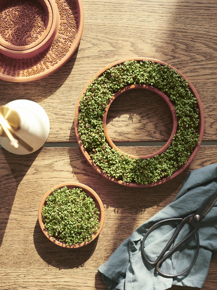 Il germogliatore in terracotta Daksjus di Ikea permette di coltivare facilmente germogli ed erbe aromatiche. La terracotta è un materiale poroso che trattiene l'umidità e ne rilascia la giusta quantità alle piantine. Prezzo 6,95 euro. www.ikea.com Il germogliatore in terracotta Daksjus di Ikea permette di coltivare facilmente germogli ed erbe aromatiche. La terracotta è un materiale poroso che trattiene l'umidità e ne rilascia la giusta quantità alle piantine. Prezzo 6,95 euro. www.ikea.com