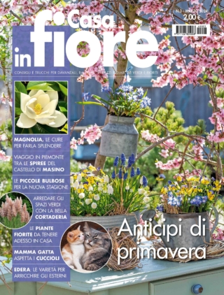 CIF03_cover