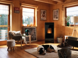 Stifa a pellet Green-Stove Driade di Palazzetti Stifa a pellet Green-Stove Driade di Palazzetti