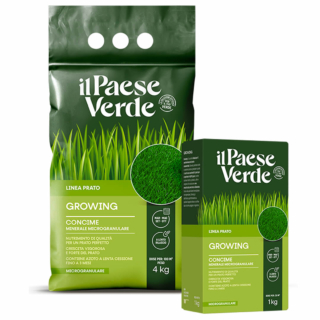 Growing è il concime ideale per il mantenimento del prato ornamentale.
https://ilpaeseverde.it/prodotto/growing/