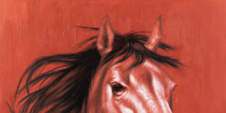 Mimesis. Ritratti animali di Marco Grasso Mimesis. Ritratti animali di Marco Grasso