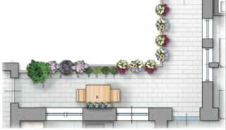 1.Timo
2.Rosmarino
3.Salvia
4.Timo
5.Lantana
6.Lavanda
7.Acero
8.Ciclamini
(in estate orchidee) 1.Timo
2.Rosmarino
3.Salvia
4.Timo
5.Lantana
6.Lavanda
7.Acero
8.Ciclamini
(in estate orchidee)