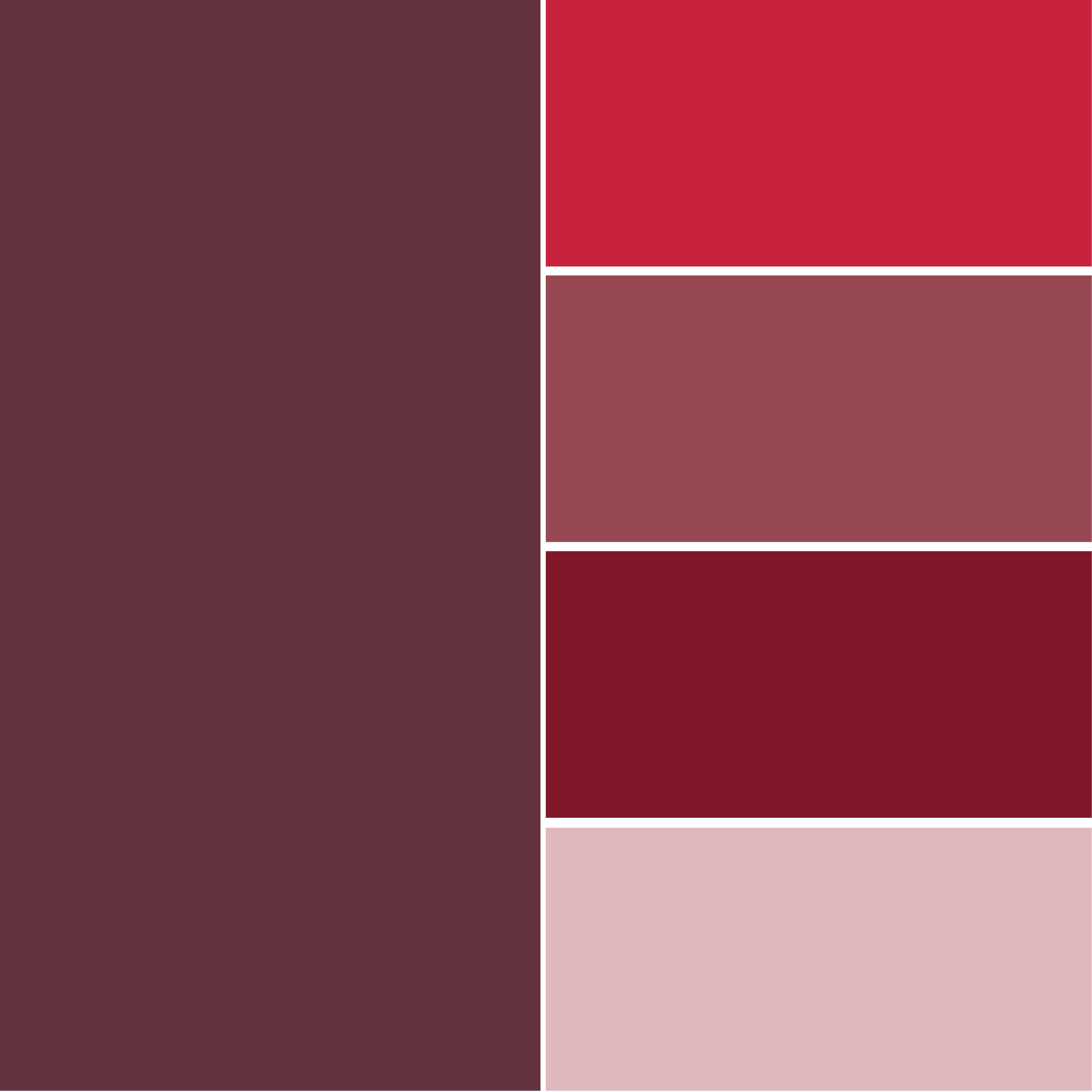 abbinamenti colore bordeaux e varie tonalità di bordeaux abbinamenti colore bordeaux e varie tonalità di bordeaux