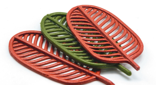 Rehub foglie Rehub foglie