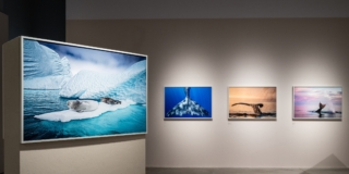 CRISTINA MITTERMEIER. LA GRANDE SAGGEZZA CRISTINA MITTERMEIER. LA GRANDE SAGGEZZA