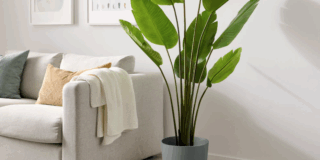 Stile cozy per la casa: come ricrearlo in modo semplice ed economico con l’aiuto di Ikea