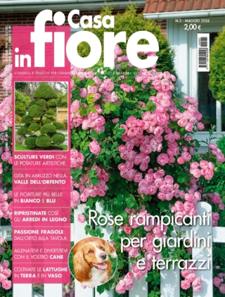 CIF05_cover