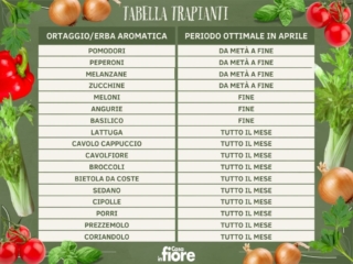 Tabella trapianti aprile