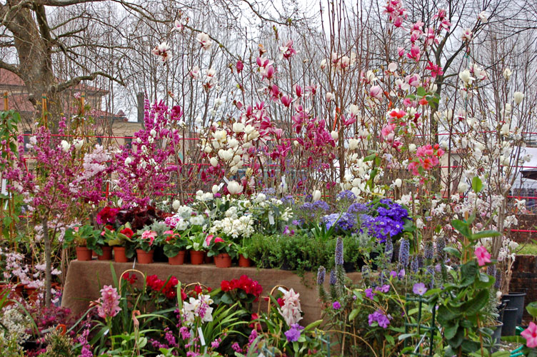 VERDEMURA VEDUTE 001 VERDEMURA VEDUTE 001