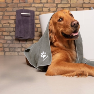 Vileda Pet Pro Microfibre Towel_dog