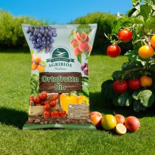 ortofrutta bio