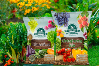 ortofrutta bioactive