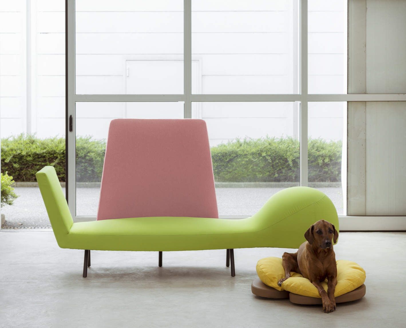 La nuova seduta Canispè di Campeggi è dedicata non solo agli “umani”, ma anche ai loro amici pelosi come cani e gatti. Ha una forma iconica e giocosa, sottolineata dai colori pastello del rivestimento dei morbidi cuscini, che consente posture plurime per uomini e animali. https://www.campeggidesign.it - Salone del Mobile padiglione 22, stand H21.