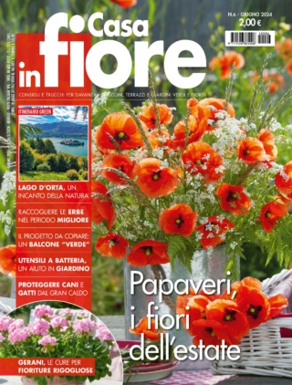 CIF06_cover CIF06_cover