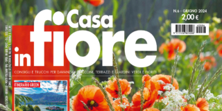 Casa in Fiore di giugno 2024, in edicola dal 24 maggio