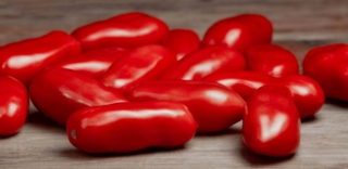 San Marzano San Marzano