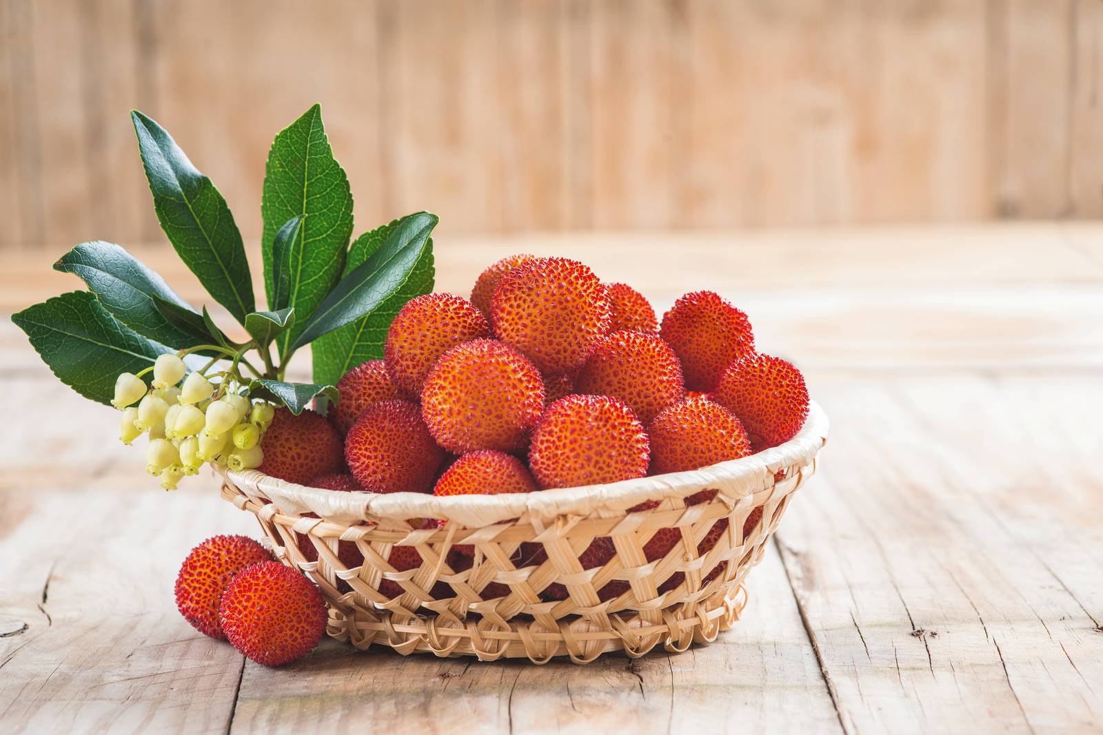 Il corbezzolo produce bacche tondeggianti e bitorzolute, grandi come ciliegie, consumabili sia freschi sia trasformati. Famoso è anche il miele di corbezzolo, dal sapore amarognolo inconfondibile.