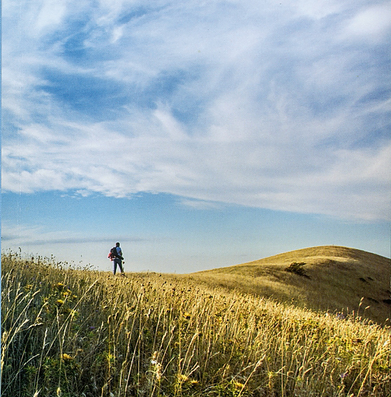 Tratto pugliese della via Francigena Tratto pugliese della via Francigena