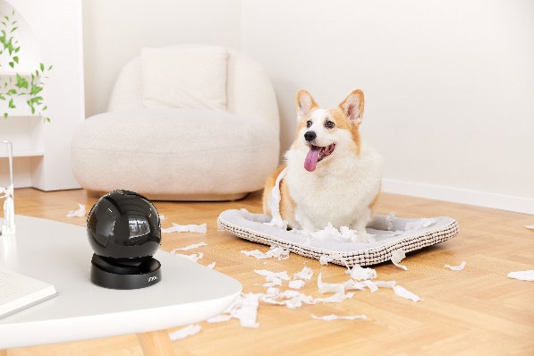 Rex 3D di Imou è una telecamera di sicurezza da interni disponibile in due risoluzioni video – da 3K (5MP) e da 2K (3MP) – motorizzata, con sirena integrata e pan & tilt in grado di ruotare di 360°, per garantire la ripresa di più aree. Dotata della tecnologia all’avanguardia Imou Sense – basata su algoritmi video, audio, navigazione e percezione potenziati, in grado di amplificare le caratteristiche dei prodotti in cui è installata –, questa telecamera per interni insieme all'aspetto della sfera di cristallo che emula un cielo stellato, offre agli utenti una impareggiabile ed elegante esperienza di sicurezza, con una precisione di riconoscimento del 99% per figure umane e animali domestici. Oltre alle funzioni di rilevamento suoni anomali, smart tracking, Human e Pet Detection, funzione privacy, visione notturna, comunicazione bidirezionale, riconosce oggetti ed elabora i dati in 0,02 secondi, inviando immediatamente una notifica all'app consentendo di monitorare solo ciò che conta, senza ricevere fastidiosi falsi allarmi. La funzione Pet Detection, in particolare, è in grado di riconoscere il movimento animale e tracciarlo, con possibilità di pre-registrare messaggi che si attivano quando viene oltrepassata una determinata zona precedentemente definita tramite app. Se ad esempio il vostro cane sale sul divano, la telecamera ne rileverà il movimento e attiverà il messaggio registrato: “Ehi Fuffy, scendi subito dal divano!”. Prezzo del modello da 3k 69,99 euro. https://store.imoulife.com/ Rex 3D di Imou è una telecamera di sicurezza da interni disponibile in due risoluzioni video – da 3K (5MP) e da 2K (3MP) – motorizzata, con sirena integrata e pan & tilt in grado di ruotare di 360°, per garantire la ripresa di più aree. Dotata della tecnologia all’avanguardia Imou Sense – basata su algoritmi video, audio, navigazione e percezione potenziati, in grado di amplificare le caratteristiche dei prodotti in cui è installata –, questa telecamera per interni insieme all'aspetto della sfera di cristallo che emula un cielo stellato, offre agli utenti una impareggiabile ed elegante esperienza di sicurezza, con una precisione di riconoscimento del 99% per figure umane e animali domestici. Oltre alle funzioni di rilevamento suoni anomali, smart tracking, Human e Pet Detection, funzione privacy, visione notturna, comunicazione bidirezionale, riconosce oggetti ed elabora i dati in 0,02 secondi, inviando immediatamente una notifica all'app consentendo di monitorare solo ciò che conta, senza ricevere fastidiosi falsi allarmi. La funzione Pet Detection, in particolare, è in grado di riconoscere il movimento animale e tracciarlo, con possibilità di pre-registrare messaggi che si attivano quando viene oltrepassata una determinata zona precedentemente definita tramite app. Se ad esempio il vostro cane sale sul divano, la telecamera ne rileverà il movimento e attiverà il messaggio registrato: “Ehi Fuffy, scendi subito dal divano!”. Prezzo del modello da 3k 69,99 euro. https://store.imoulife.com/