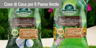 paese verde prodotti