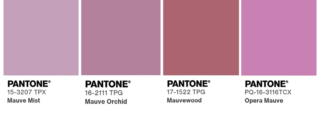 Tassello Pantone colore malva Tassello Pantone colore malva