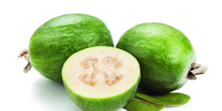 Guava