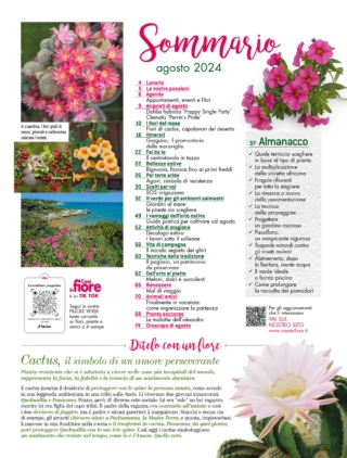 CIF08_sommario