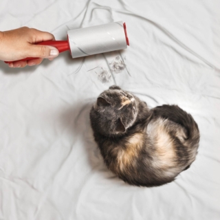 Vileda Pet Pro Lint Roller