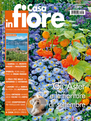 CIF09_cover CIF09_cover