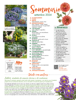 CIF09_sommario CIF09_sommario
