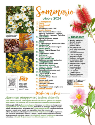 4CIF10_03 sommario_REV 4CIF10_03 sommario_REV