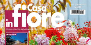 Casa in Fiore di ottobre 2024, in edicola dal 24 settembre
